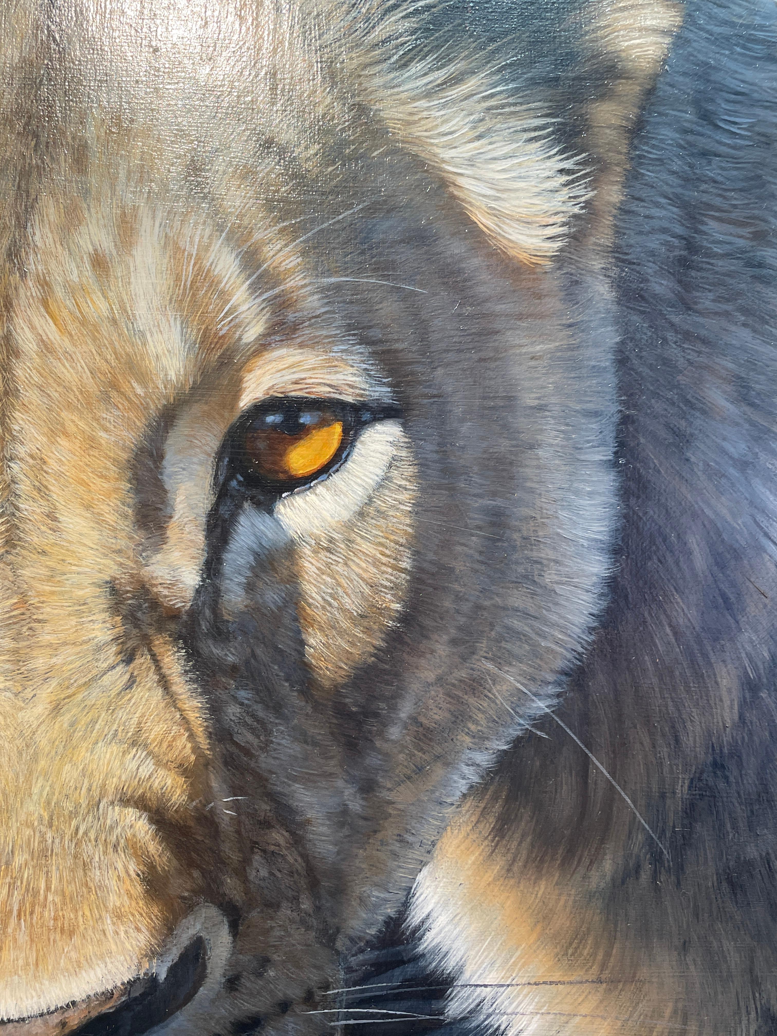 'Lioness' by Ben Waddams is a Contemporary Realist Wildlife oil painting of a lioness stalking in the wild.  With such incredible detail, it would be a statement in any interior setting. 

Ben Waddams is a British wildlife artist living and working
