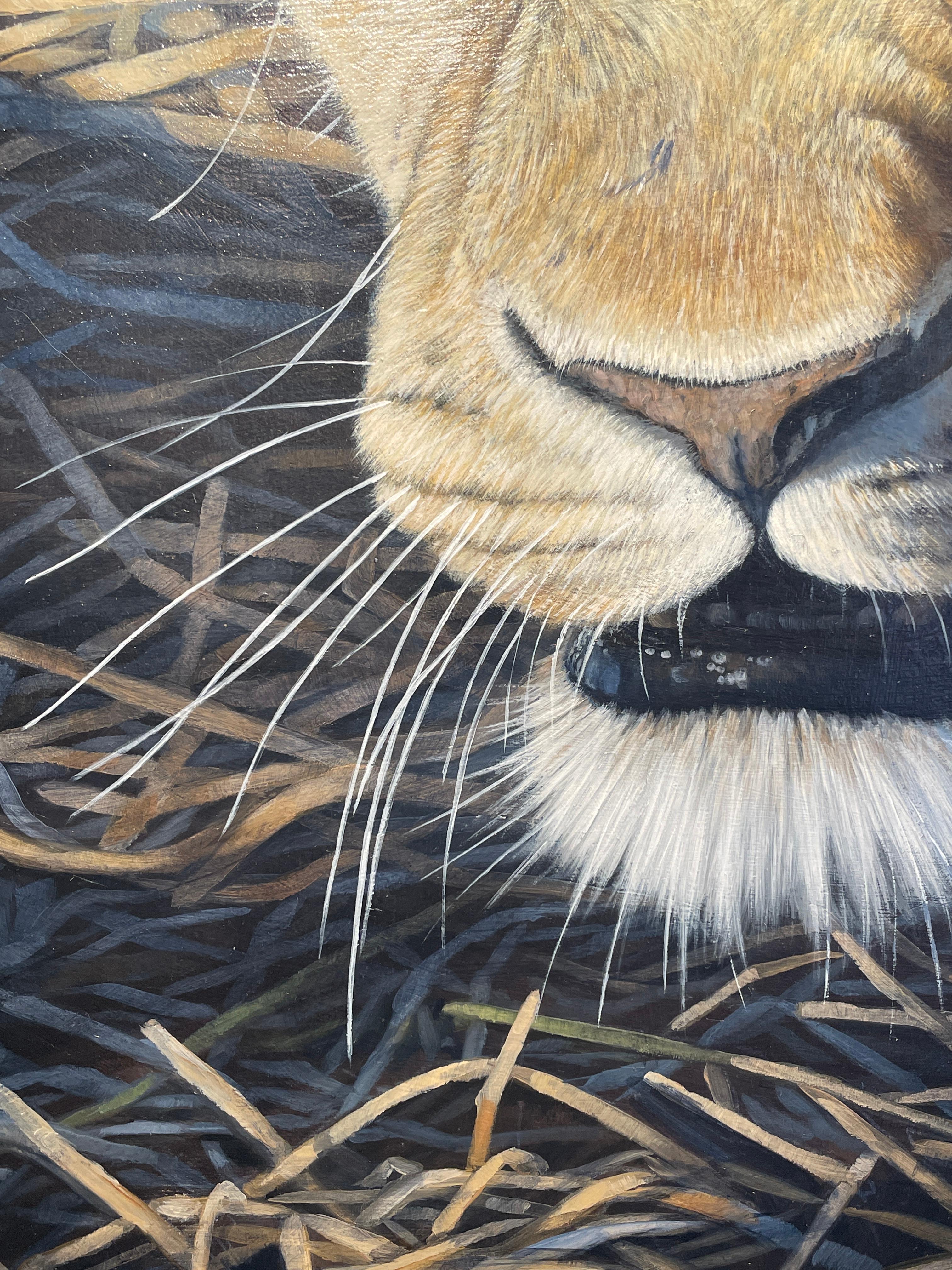 'Lioness' Contemporary Realist painting of a lioness stalking in the wild For Sale 1