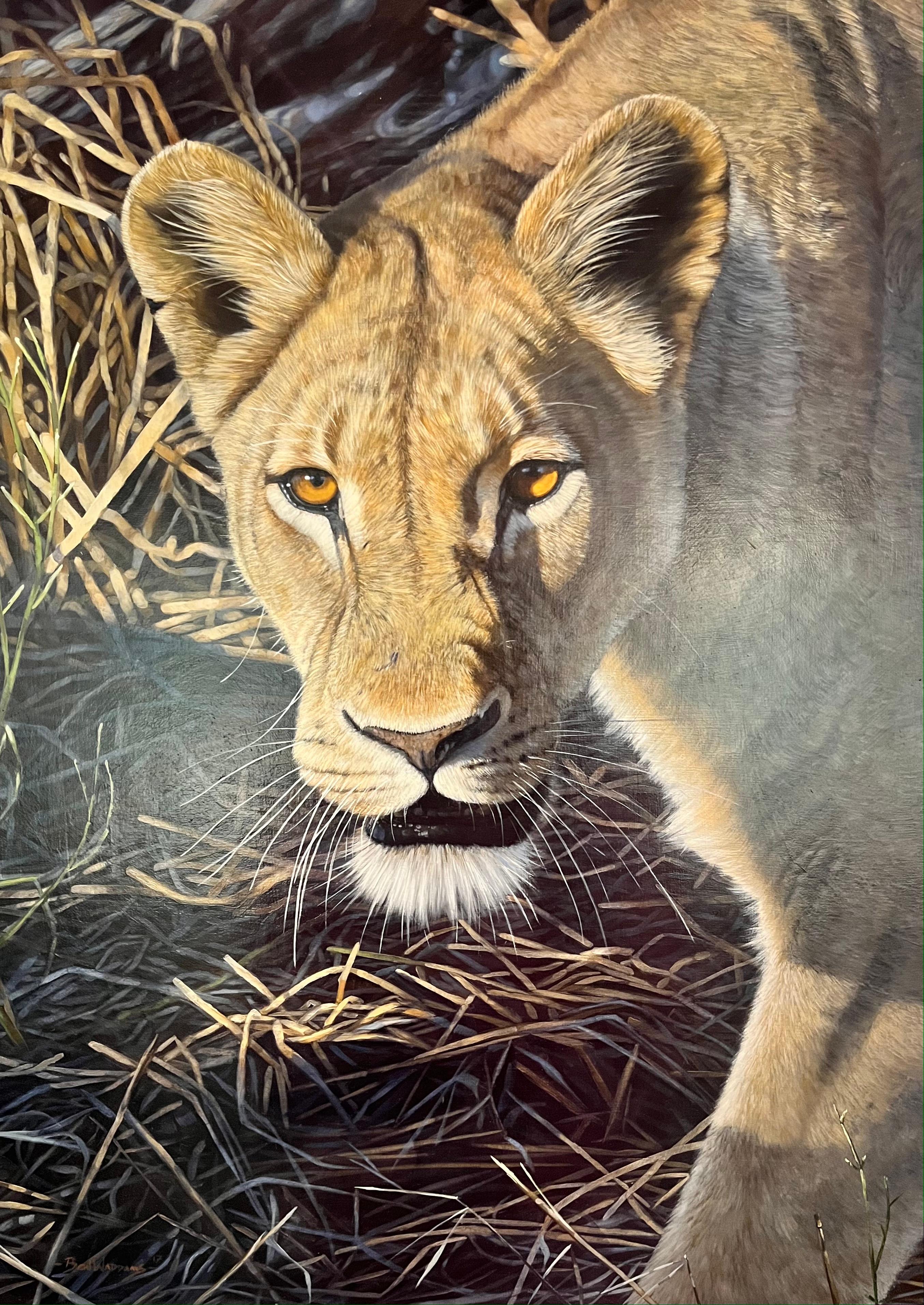 Ben Waddams Animal Painting - 'Lioness' Contemporary Realist painting of a lioness stalking in the wild