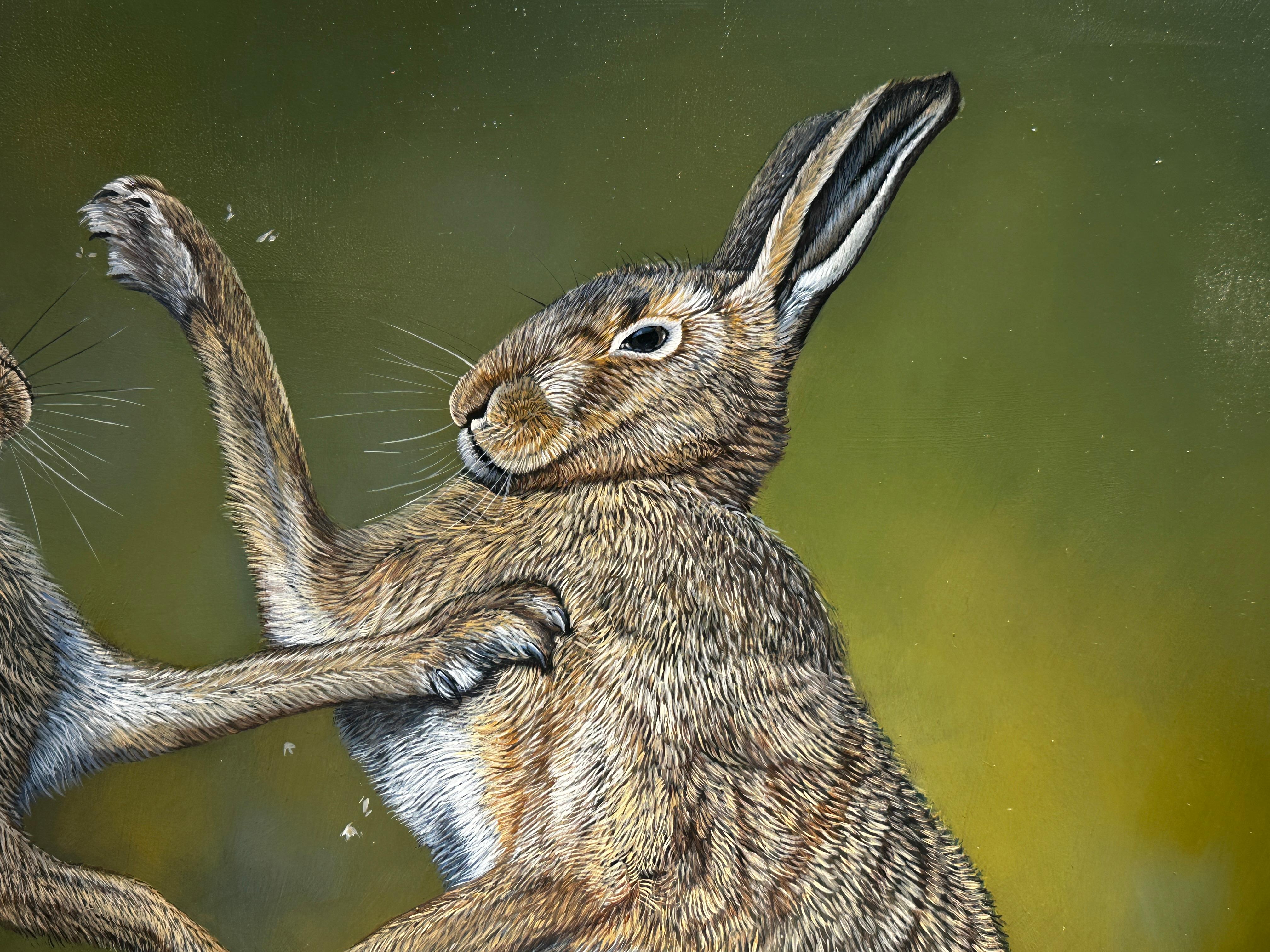 the boxing hare photos
