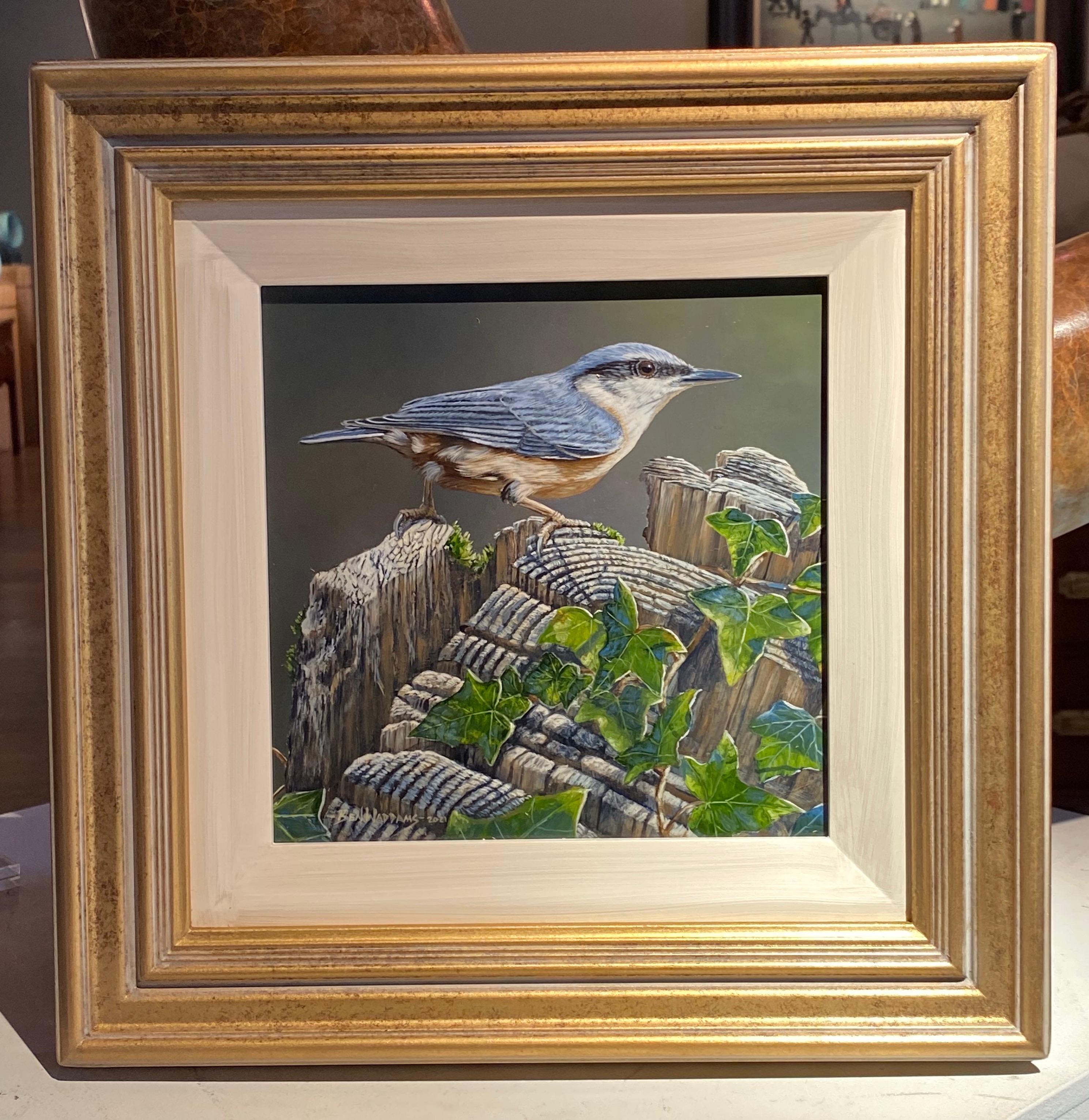 'Nuthatch' Contemporary Photorealist painting of a bird, nature realistic - Painting by Ben Waddams