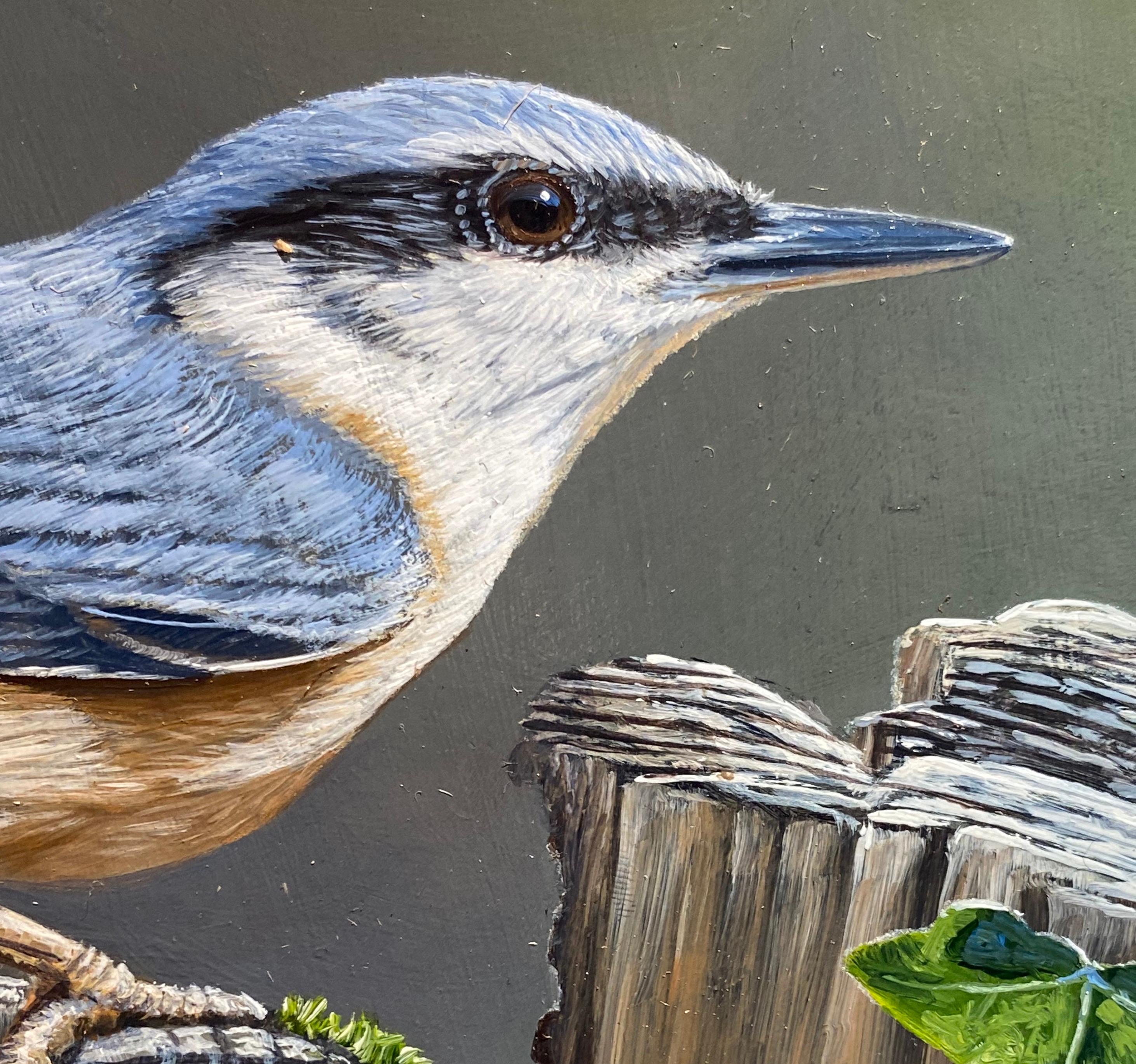 nuthatch painting