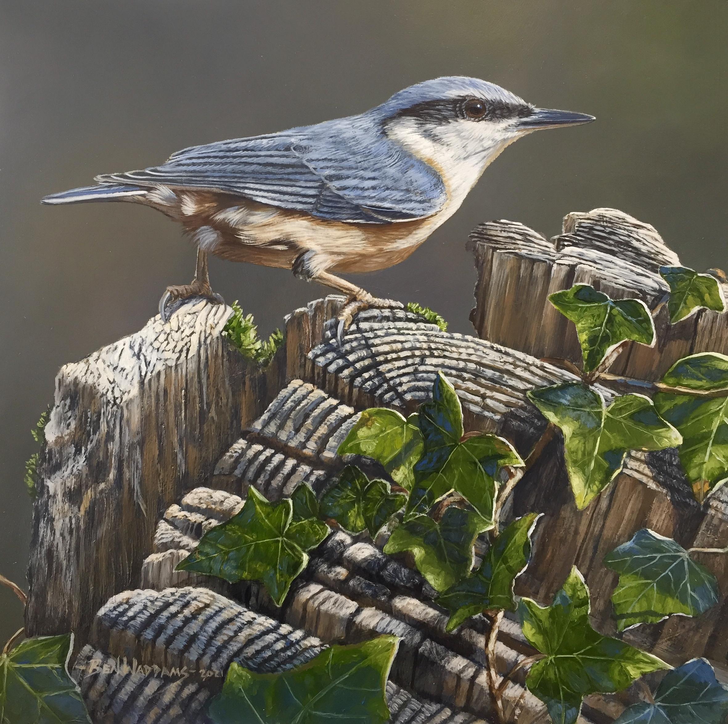 Ben Waddams Animal Painting - 'Nuthatch' Contemporary Photorealist painting of a bird, nature realistic