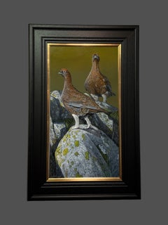 'On The Rocks' Photorealist painting of Grouse grey, green, brown