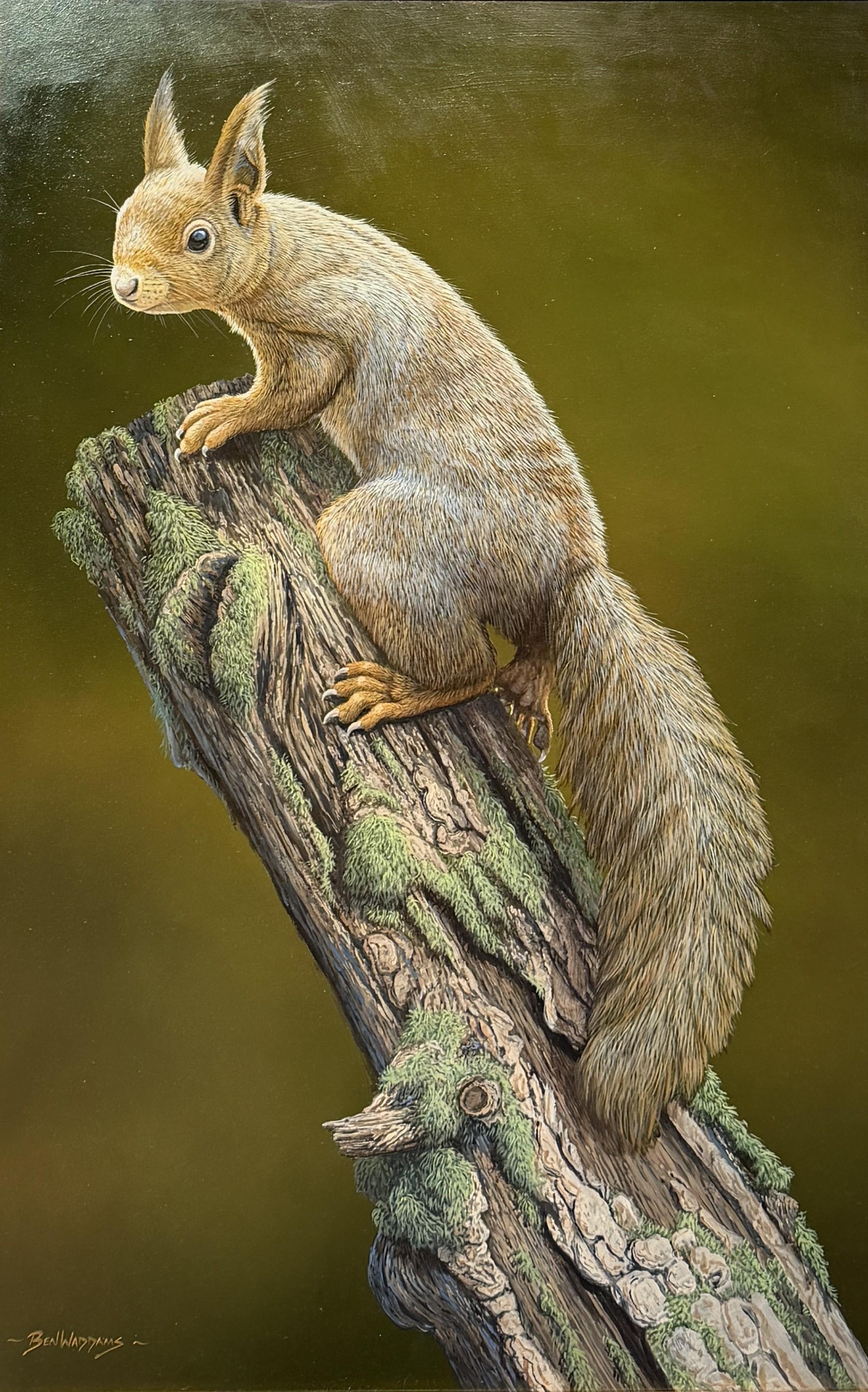 'Red Squirrel Redoubt' Photorealist painting of a Squirrel on a branch, grey