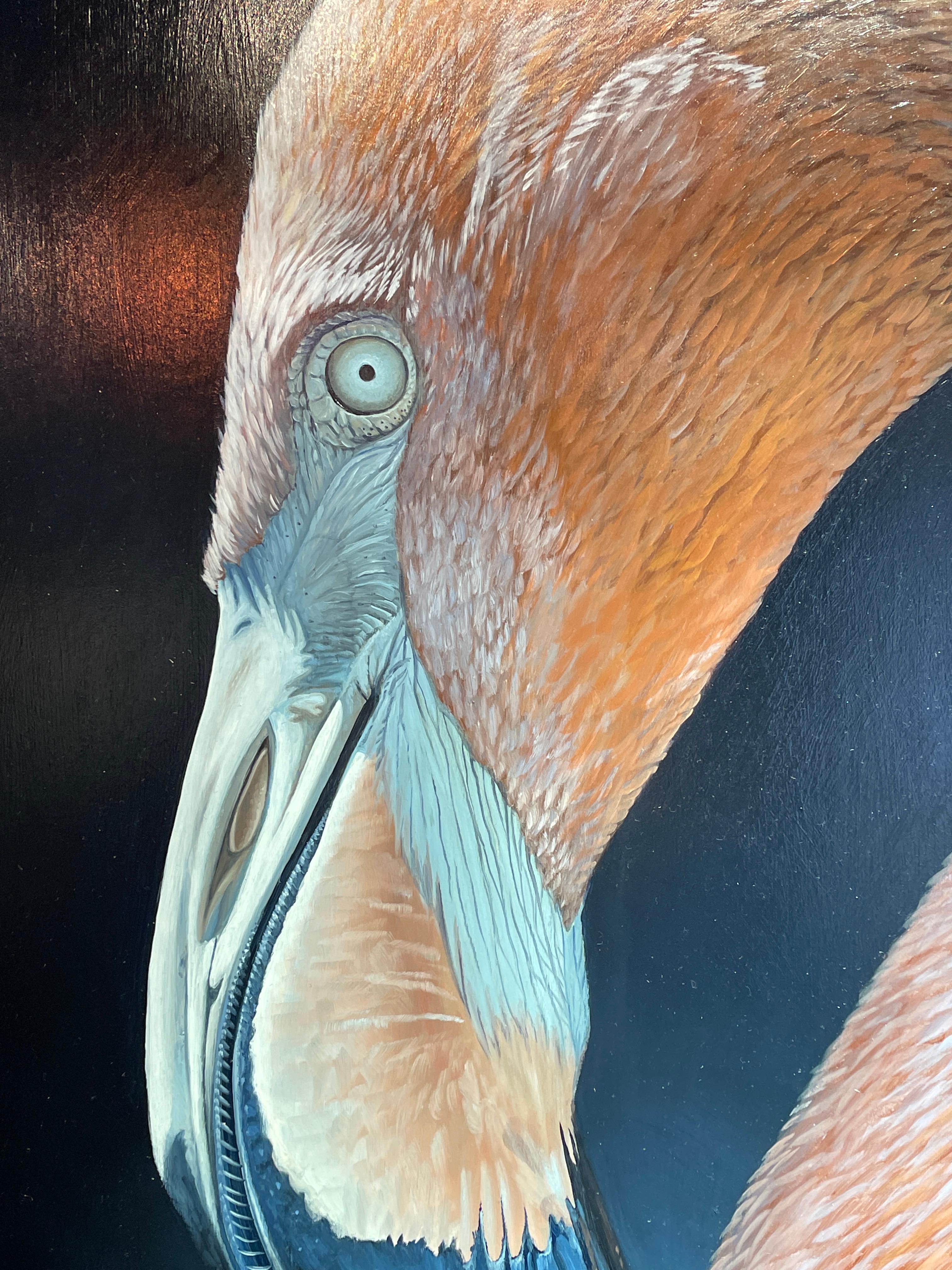 'Resplendent' Photorealist painting of a Pink Flamingo, dark blue, wildlife - Painting by Ben Waddams