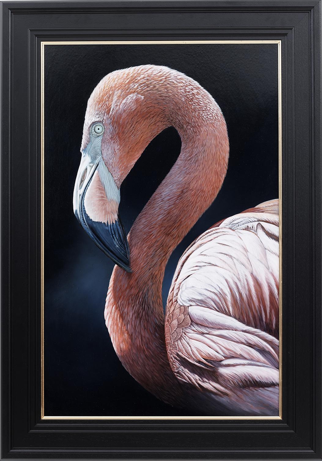 Ben Waddams Animal Painting - 'Resplendent' Photorealist painting of a Pink Flamingo, dark blue, wildlife