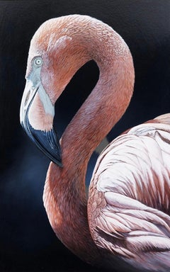 'Resplendent' Photorealist painting of a Pink Flamingo, dark blue, wildlife