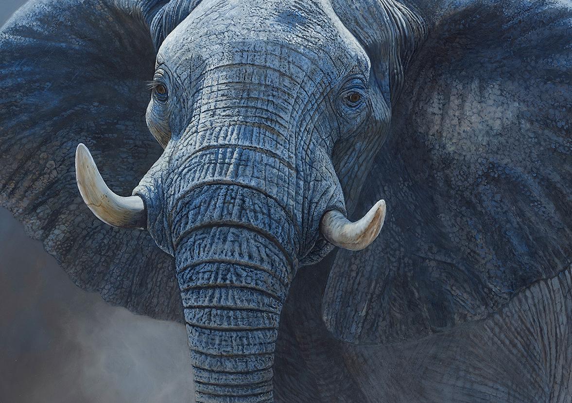 'The Challenge' Contemporary Photorealist painting of a large African Elephant - Black Animal Painting by Ben Waddams