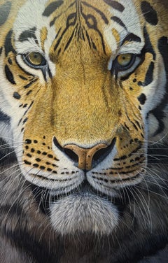 "La contemplazione di Khan" – Dipinto fotorealista raffigurante una tigre, arancione e bianca