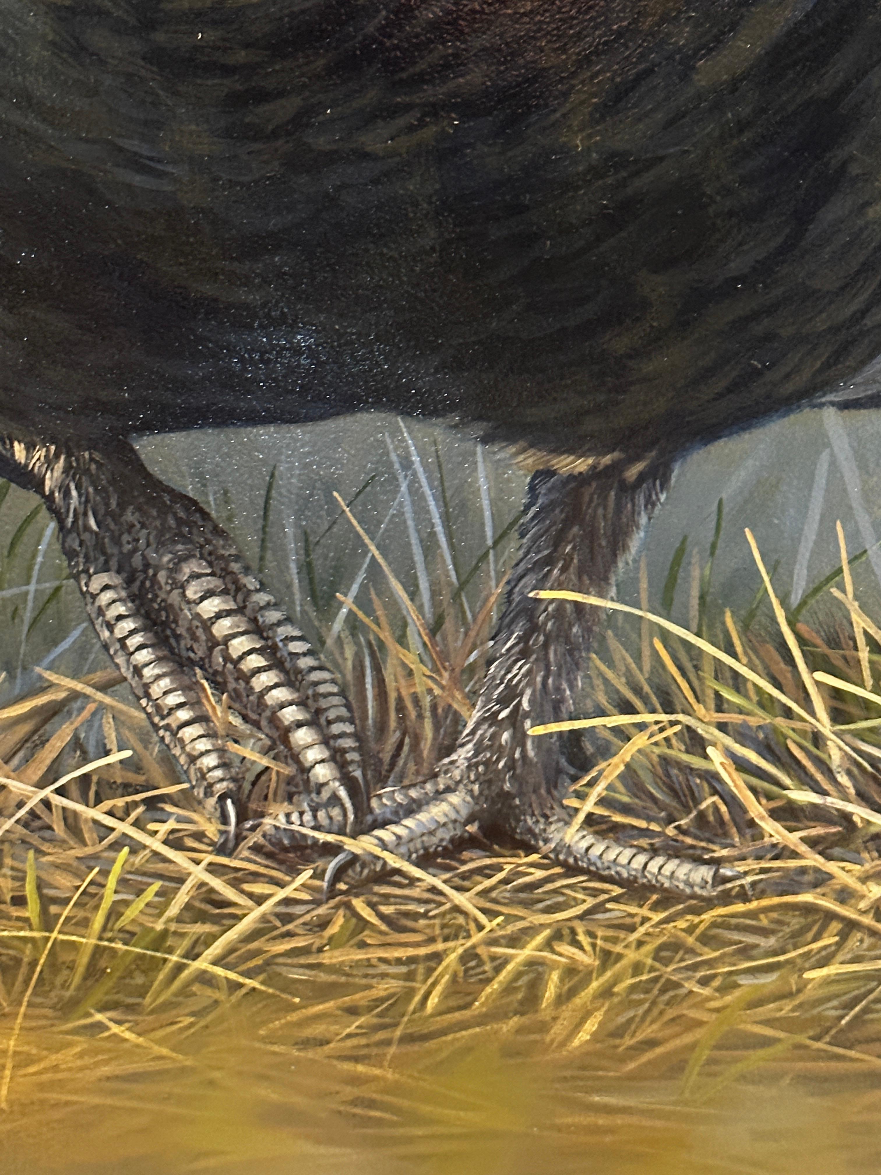 'The Enforcer' Contemporary Photorealist painting of a black grouse, wildlife  For Sale 1