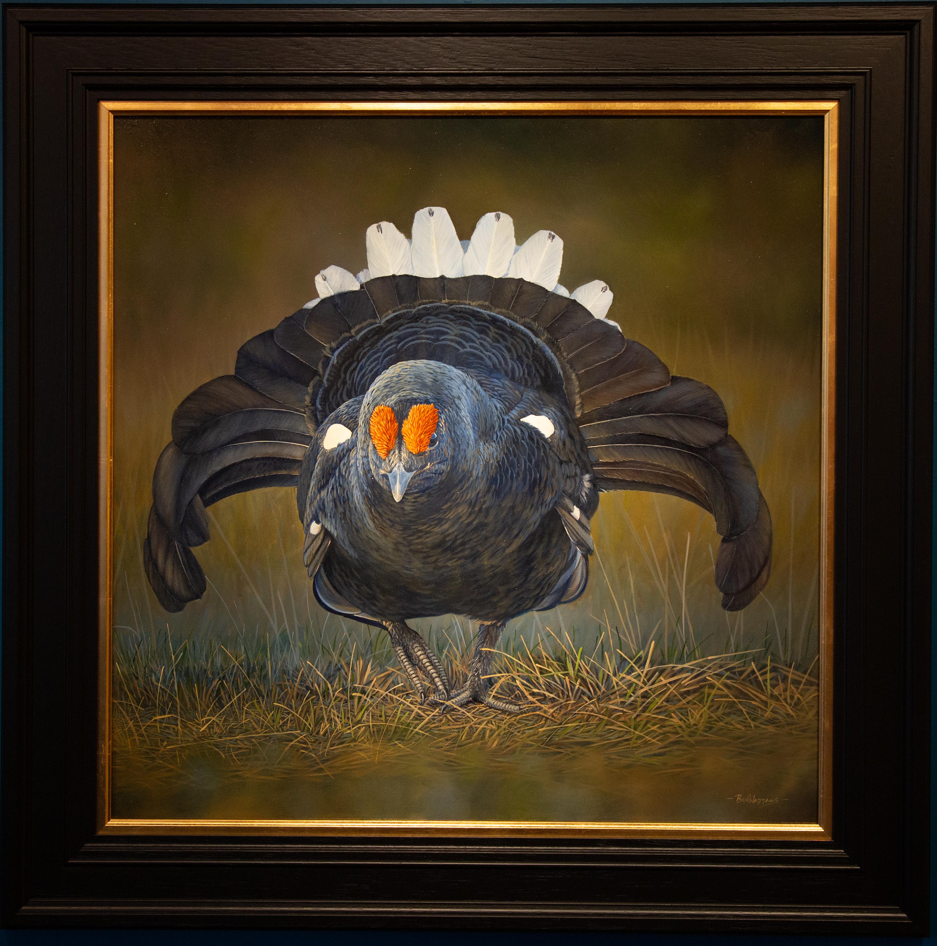 Ben Waddams Animal Painting - 'The Enforcer' Contemporary Photorealist painting of a black grouse, wildlife 