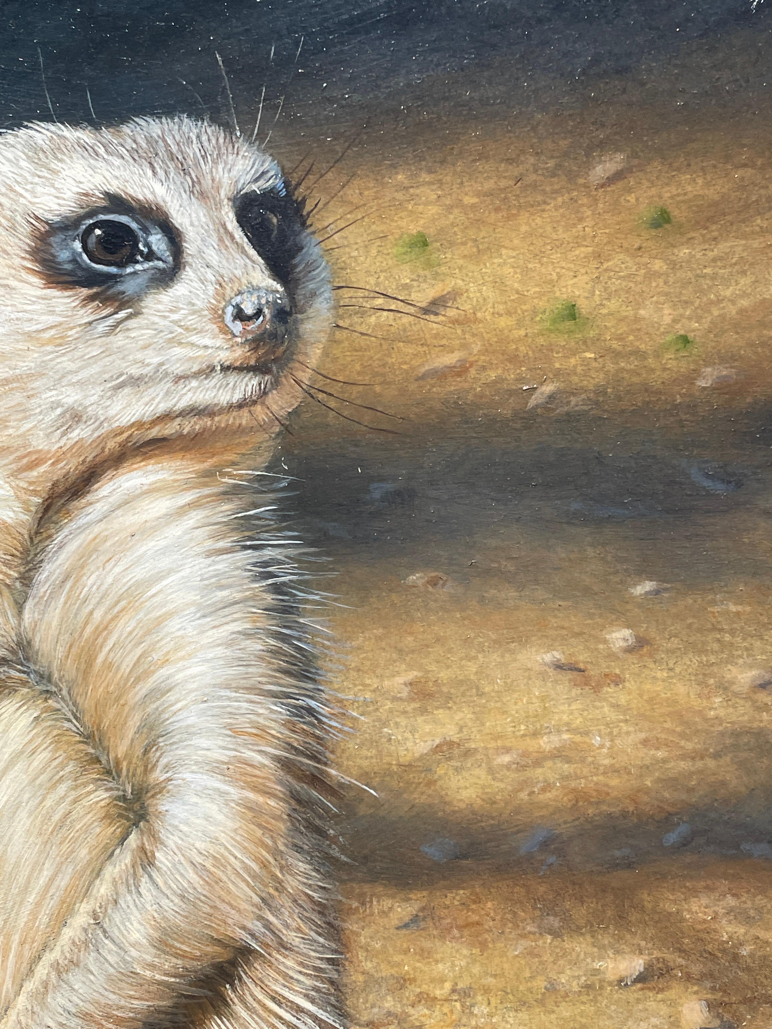 'The Sun Worshipper' Contemporary photorealist painting of a Meerkat in the wild - Photorealist Painting by Ben Waddams