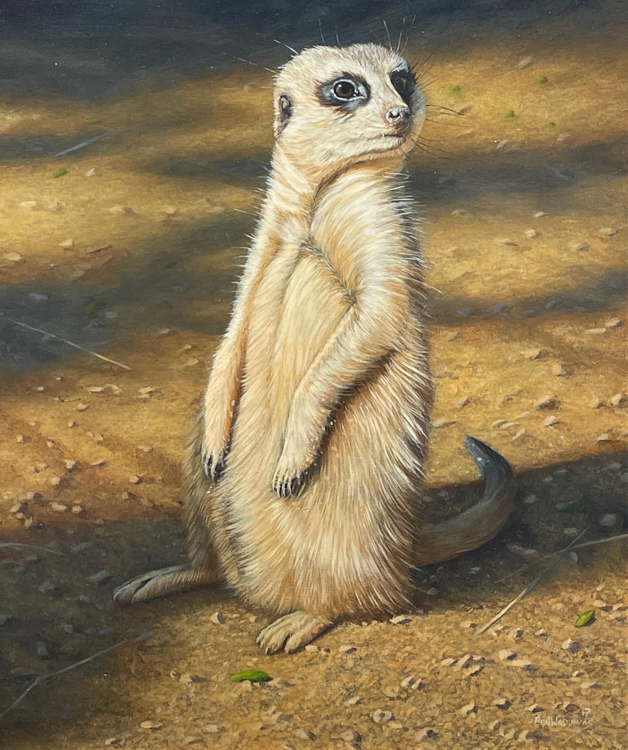 Ben Waddams Animal Painting - 'The Sun Worshipper' Contemporary photorealist painting of a Meerkat in the wild