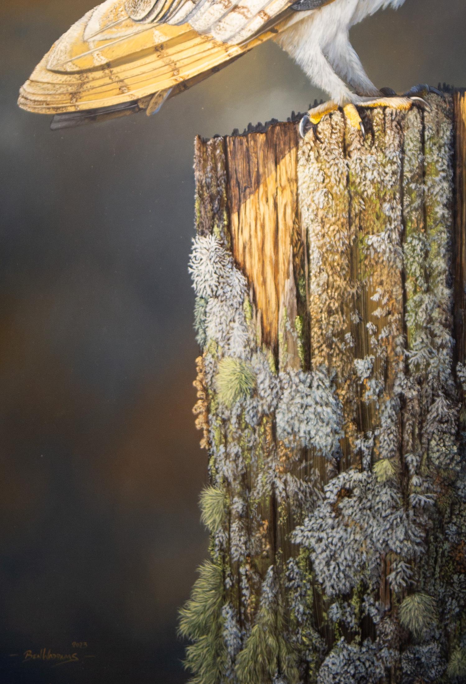 'The Watcher' Photorealist painting of a barn owl on a tree stump nature, wild 1
