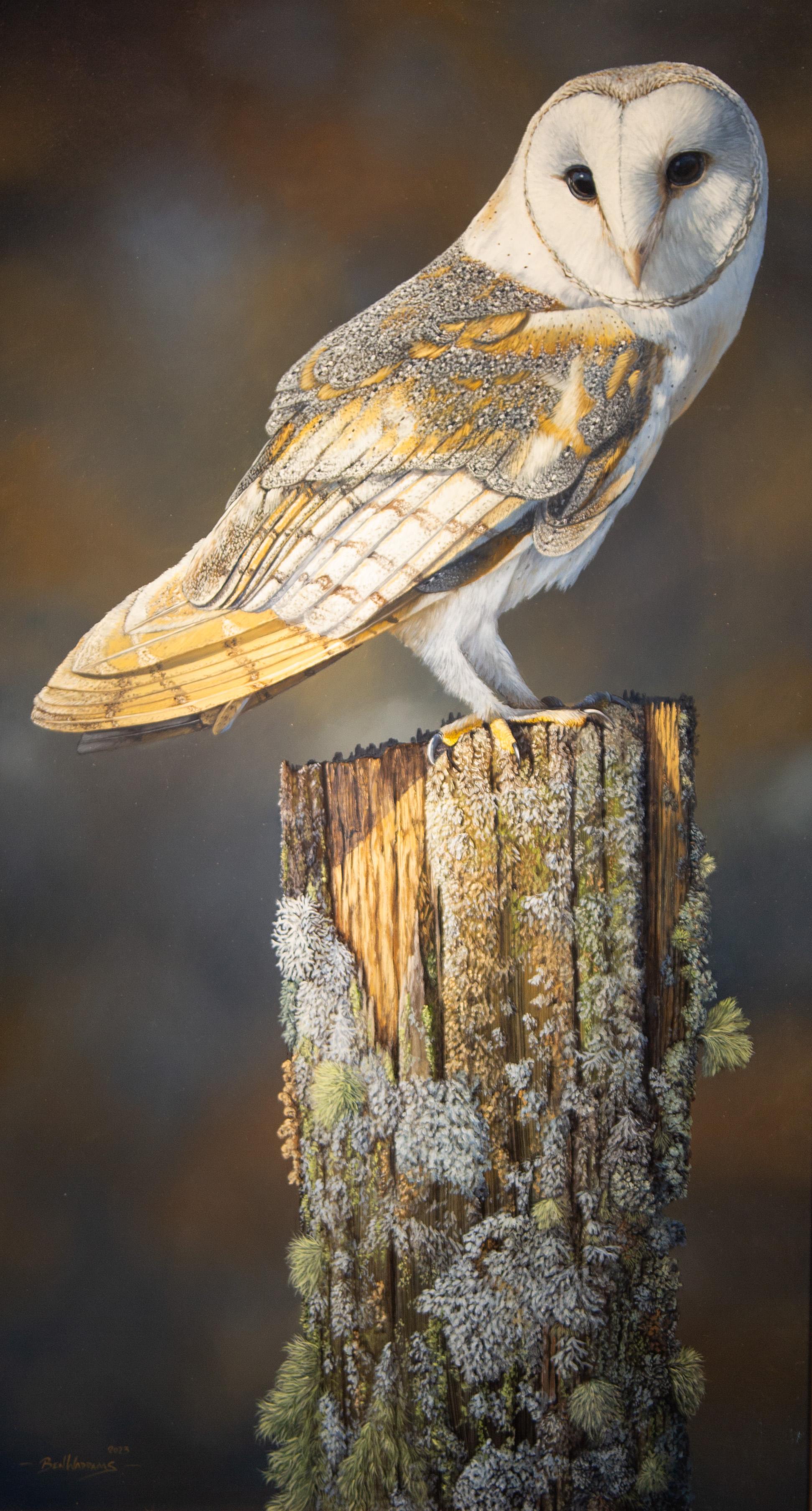 Ben Waddams Animal Painting - 'The Watcher' Photorealist painting of a barn owl on a tree stump nature, wild