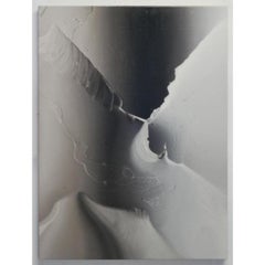 Pittura al silicone 1, olio su lino di Ben Weiner, 2016