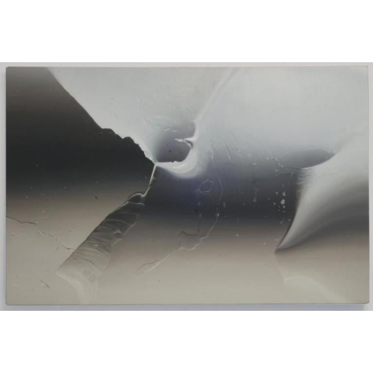 Pittura al silicone 2, olio su lino di Ben Weiner, 2016