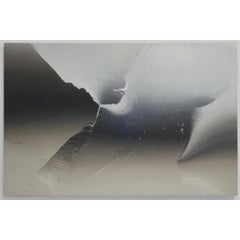 Pittura al silicone 2, olio su lino di Ben Weiner, 2016
