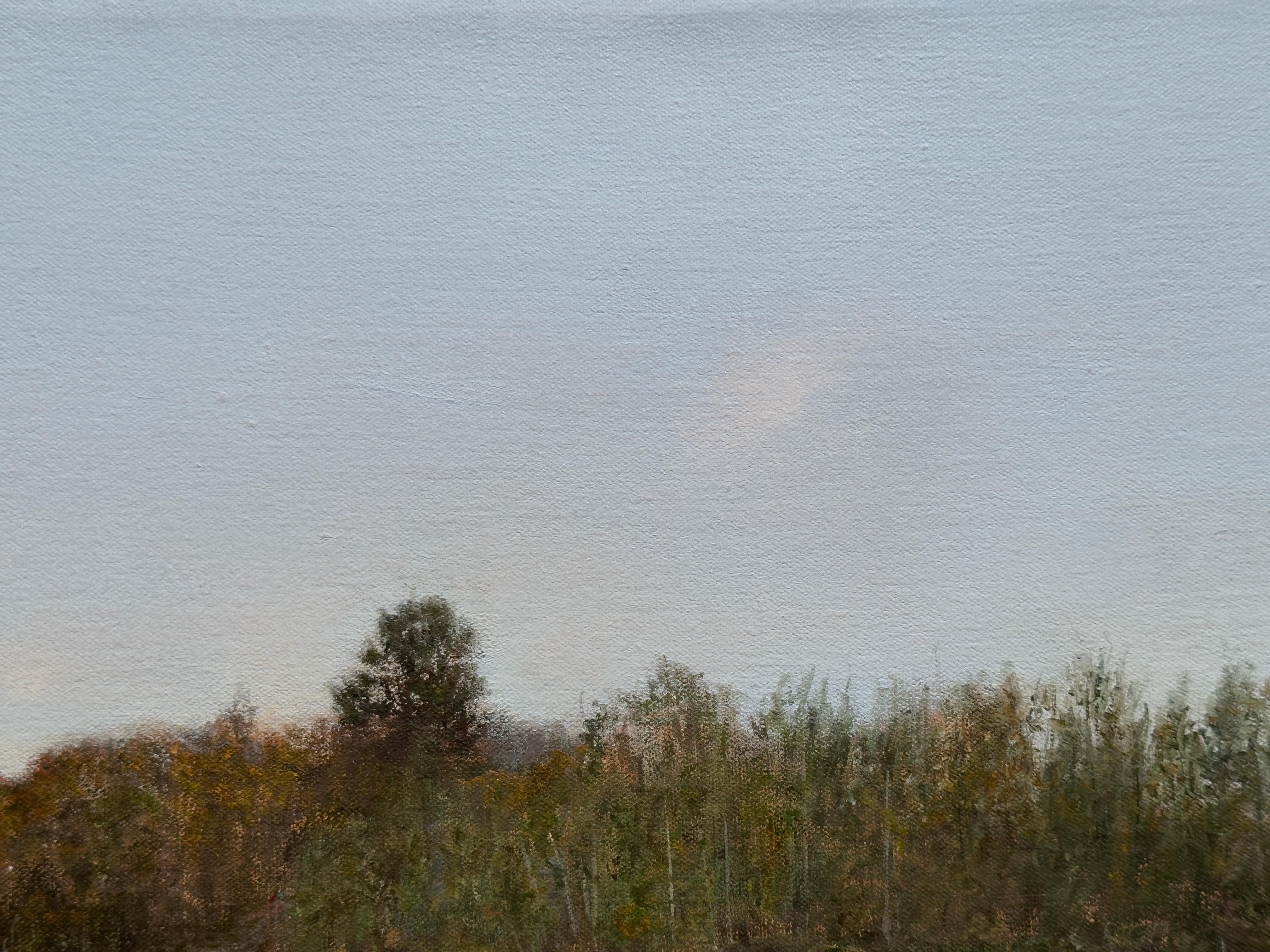 OXBOW LAGOON, SAUGATUCK, MICHIGAN - Landscape/ Realism / Waterscape / Peaceful For Sale 3
