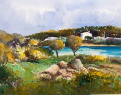Benavente Solís coast. Landscape of Mallorca- original expressionist