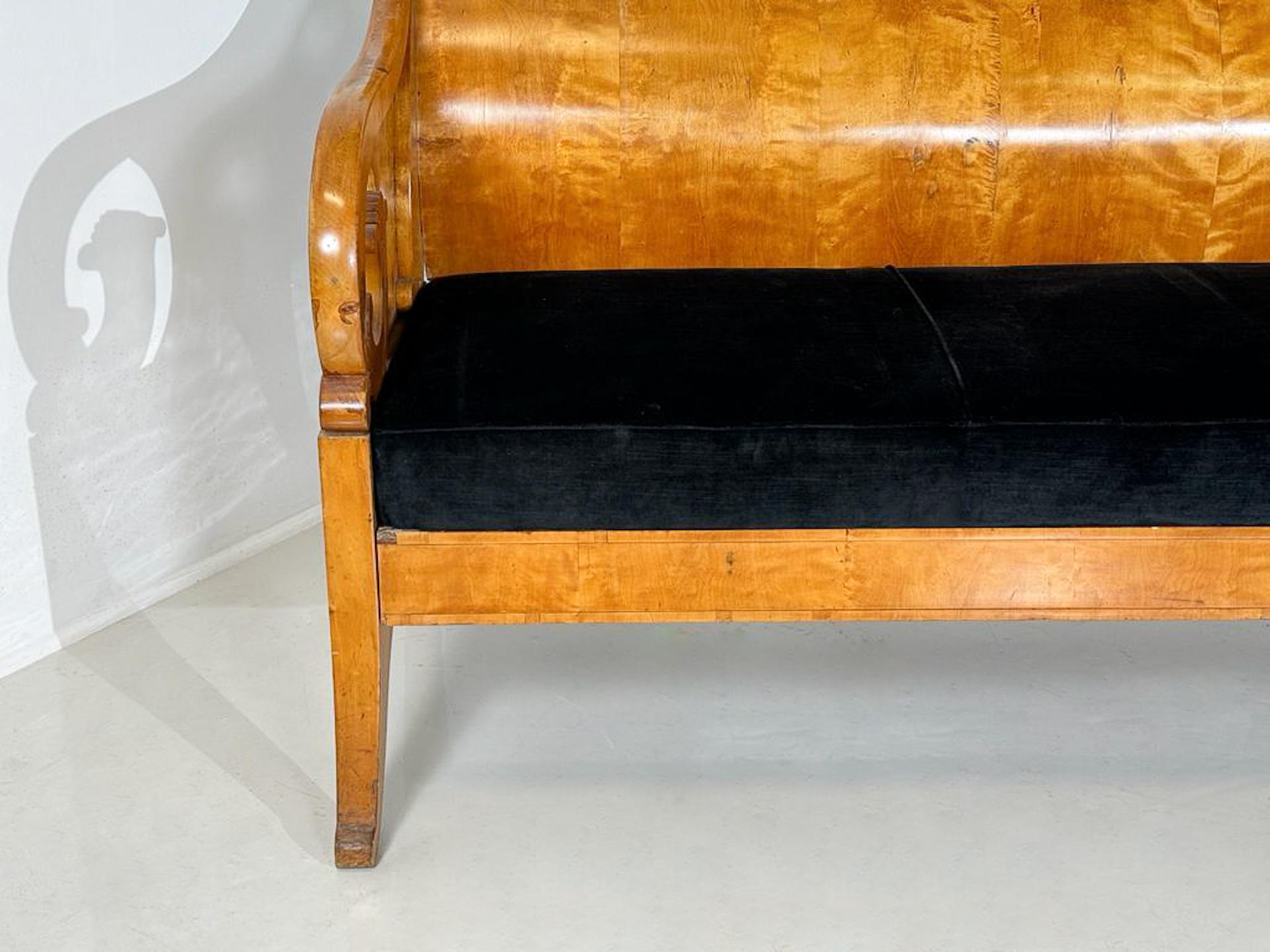 Wood Bench in Birch Veneer, Russia, Early 19th Century For Sale