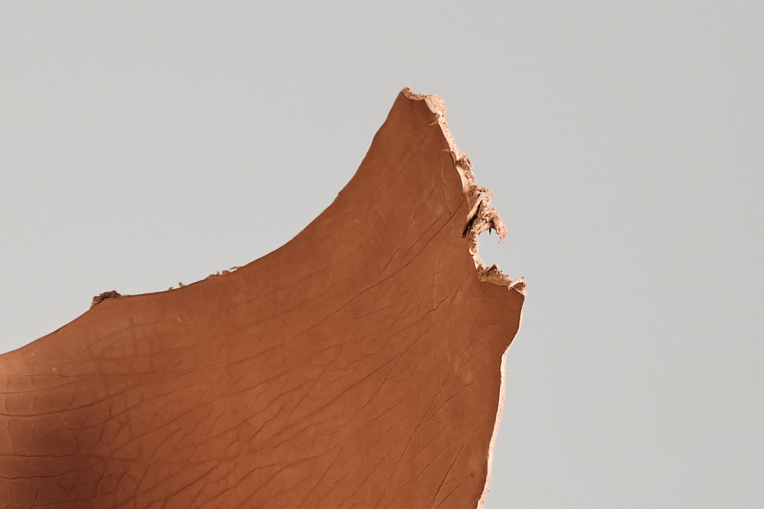 Banc en cuir de buffle d'eau Sculpture unique Mímesis 7 de Jordi Ribaudí en vente 2