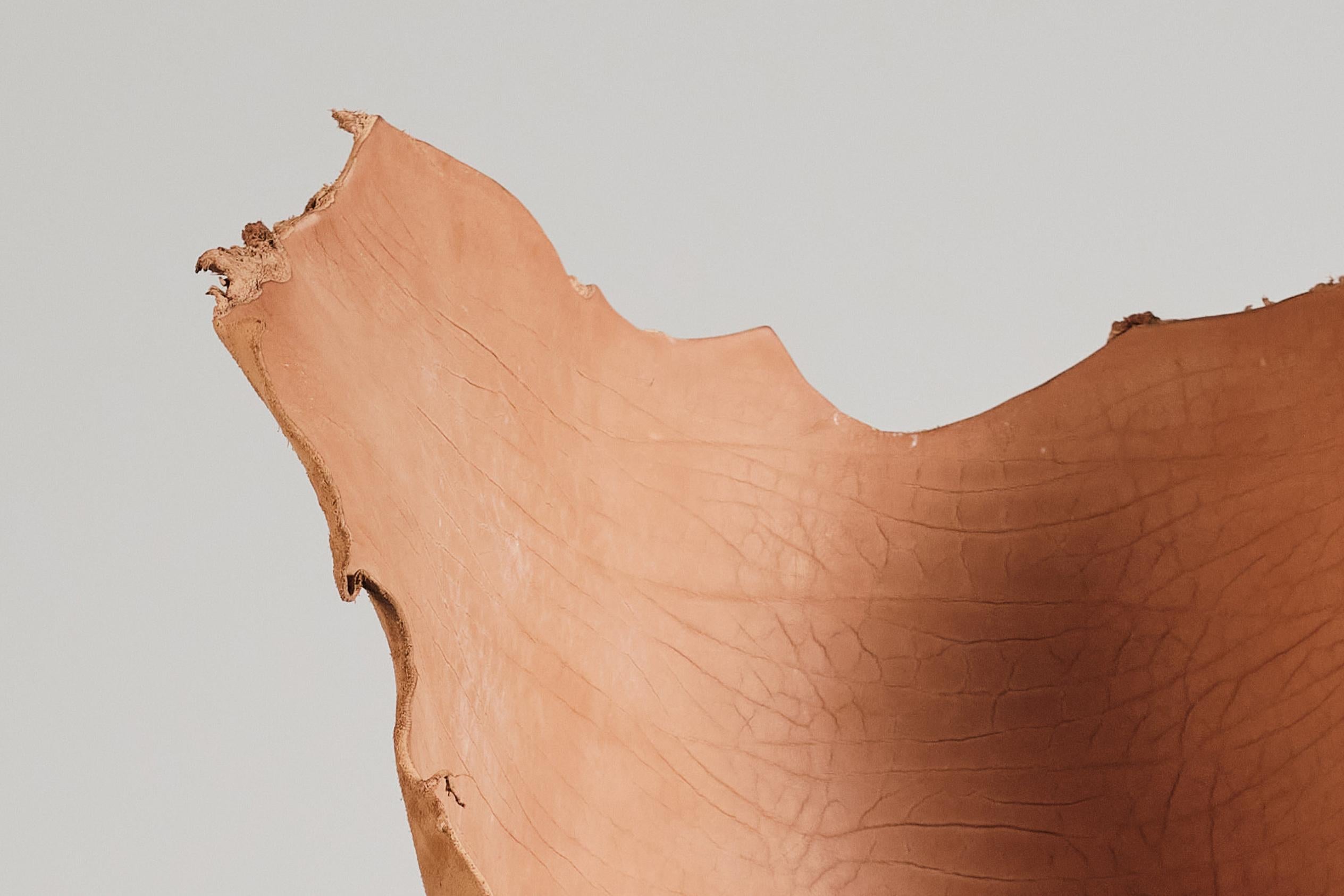 Banc en cuir de buffle d'eau Sculpture unique Mímesis 7 de Jordi Ribaudí en vente 3
