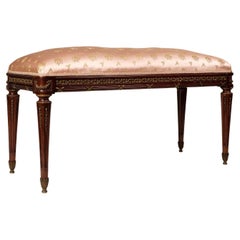 Bench Louis XVI Style in Mohagany and Bronze