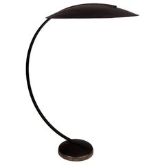 Bend-It Floor Lamp