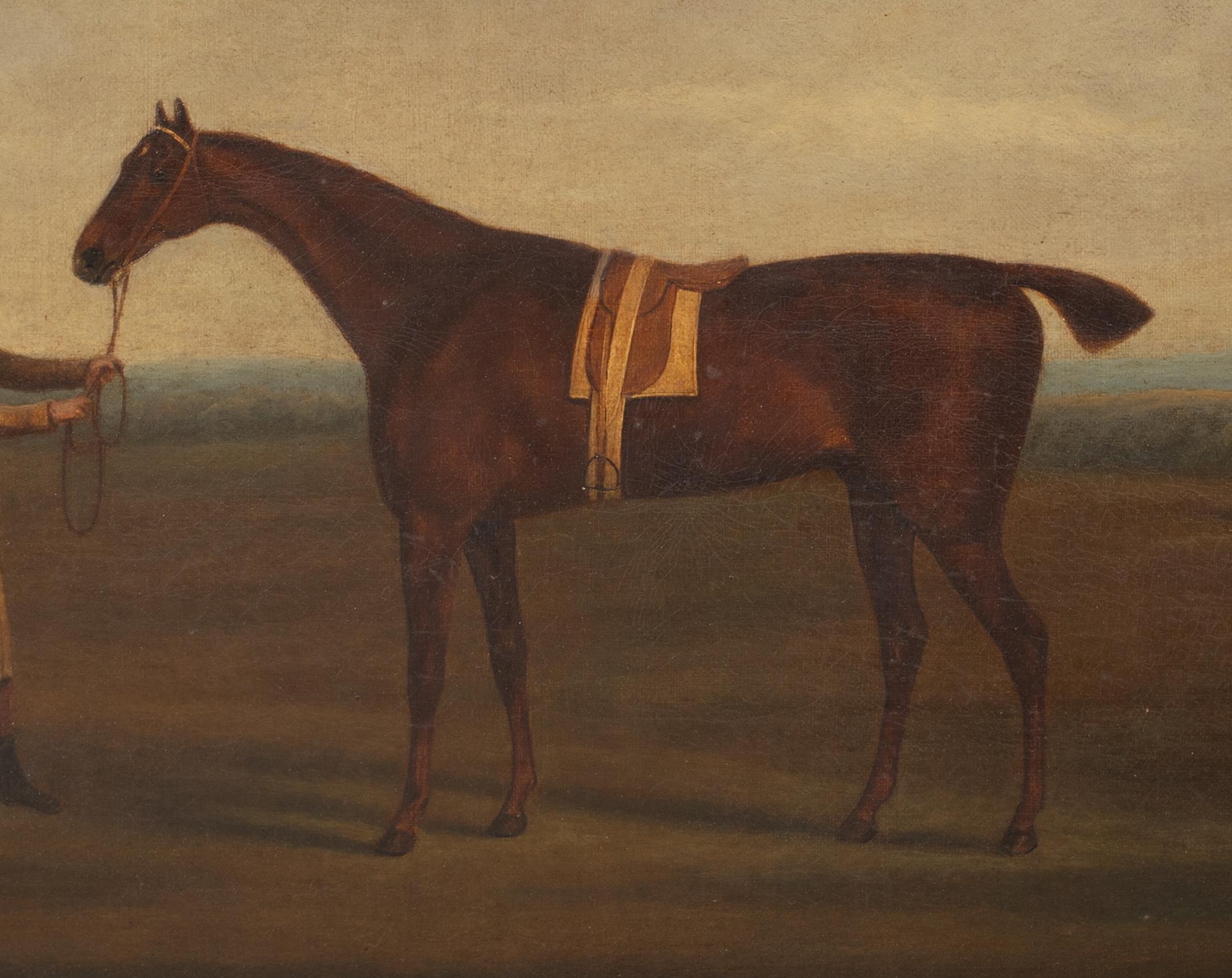 Cavallo da corsa e proprietario, English School del 18° secolo 5