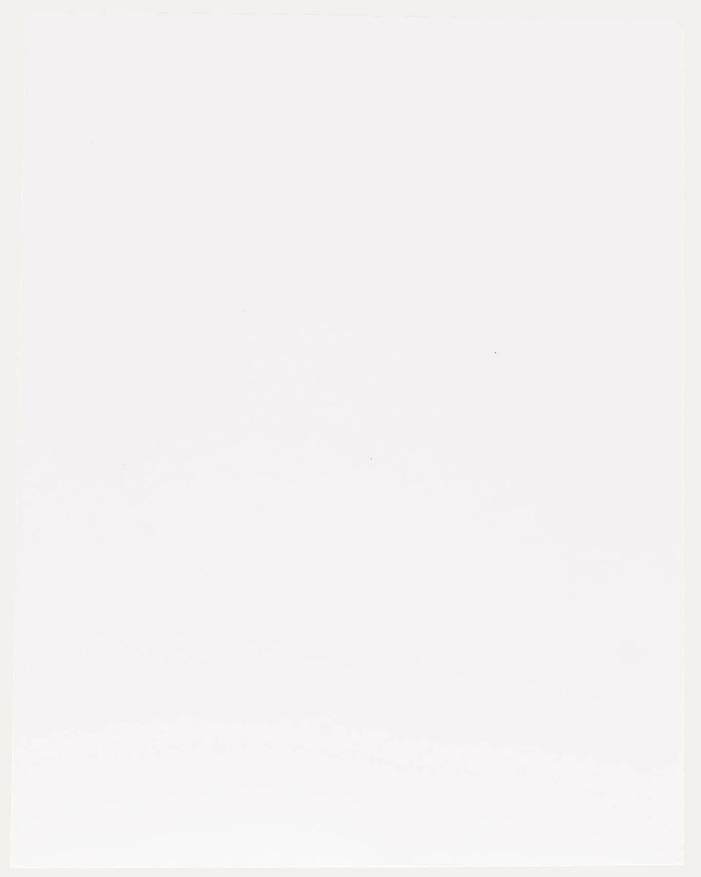 Ben Carrivick - Zeitgenössisches Öl, Sonnenblumen in einer blauen Vase (Grau), Still-Life Painting, von Benjamin Carrivick