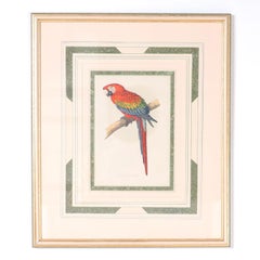 Set of Seven Bird Prints