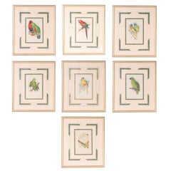 Antique Set of Seven Bird Prints