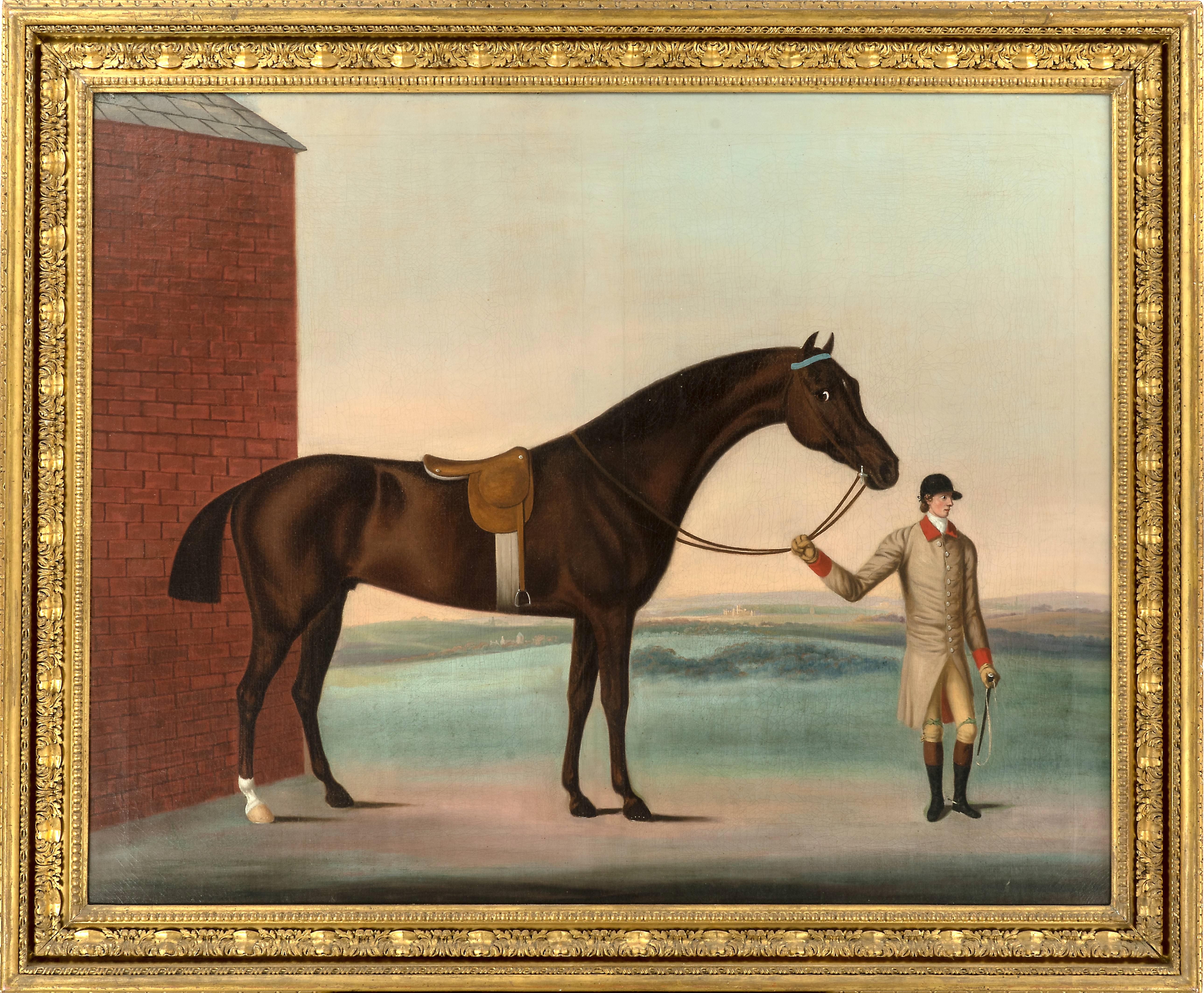 Ein dunkles Bay-Reiterpferd, das von seinem Trainer in Newmarket Heath