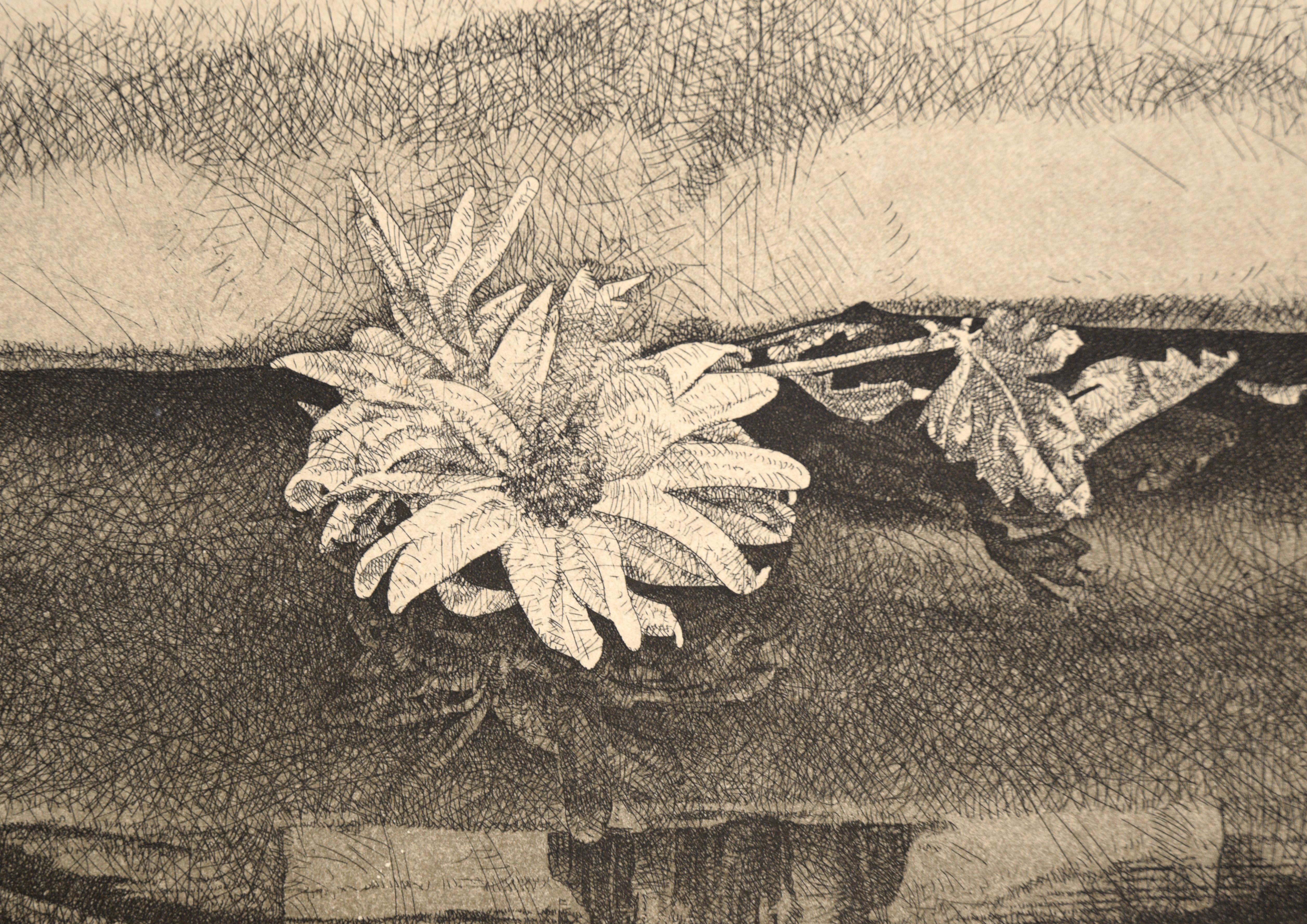 Finely balanced etching by Benjamin Vasserman (Estonian, b 1949). A squash sits atop a small black box with a latch. There is a drapery behind the squash, providing a backdrop. In the foreground of the composition, a few flowers and leaves are laid