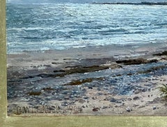A Coastal View