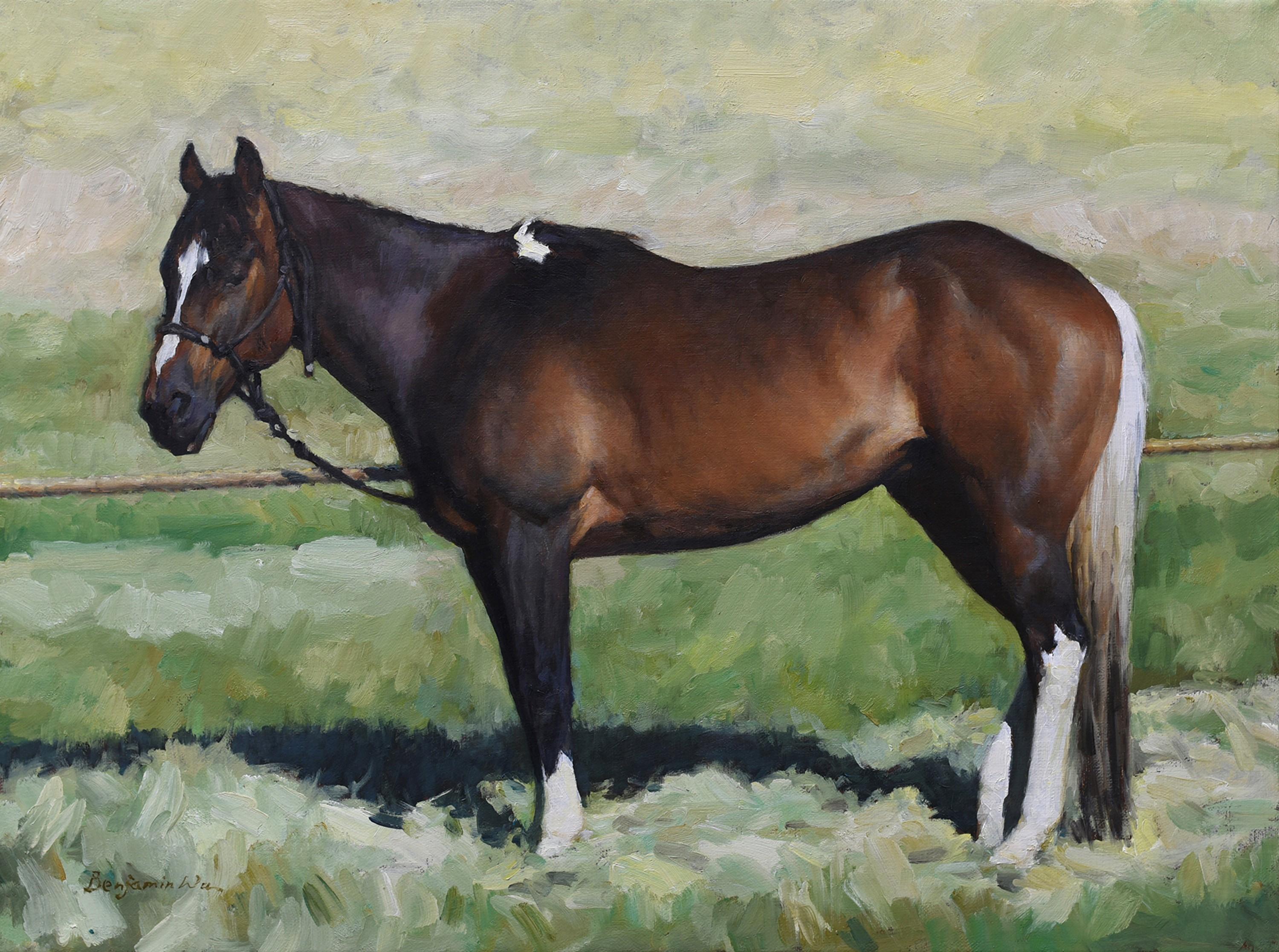 Pony the Horse - Painting by Benjamin Wu