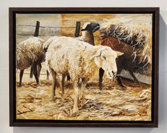 Sheep, Ovejas , Oil on Canvas, Paraguayan Artist,  Realism, Loma Plata