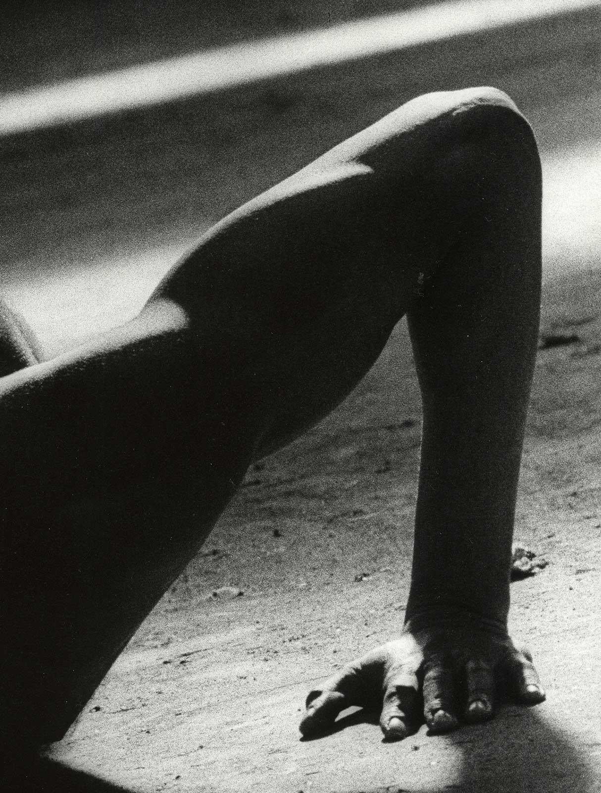 nude cuban men