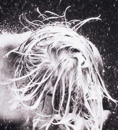 WET 40 (young nude Dutch boy being doused by droplets of water)