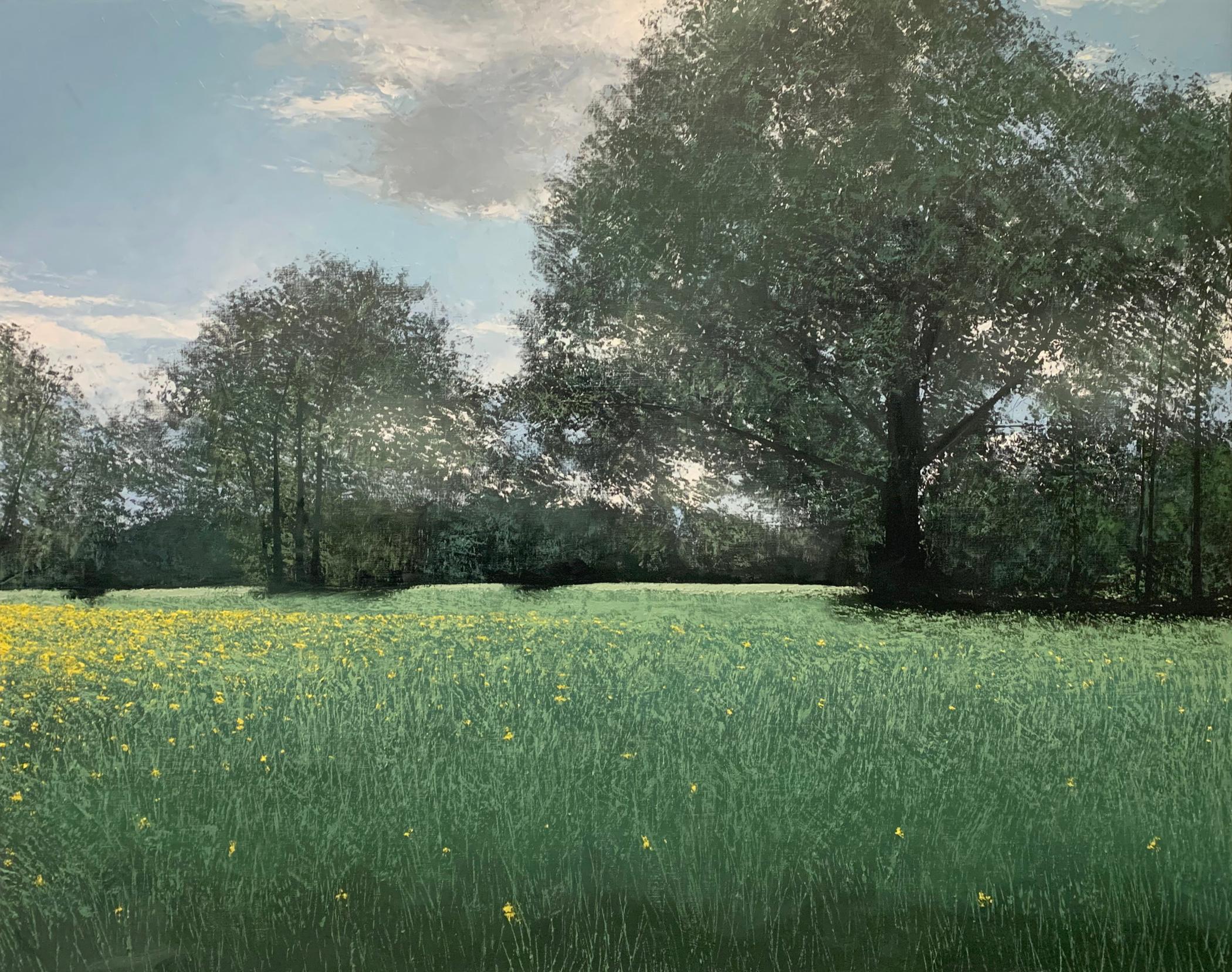 Benoît Trimborn Landscape Painting – Rapsfeld nach dem Aufkochen