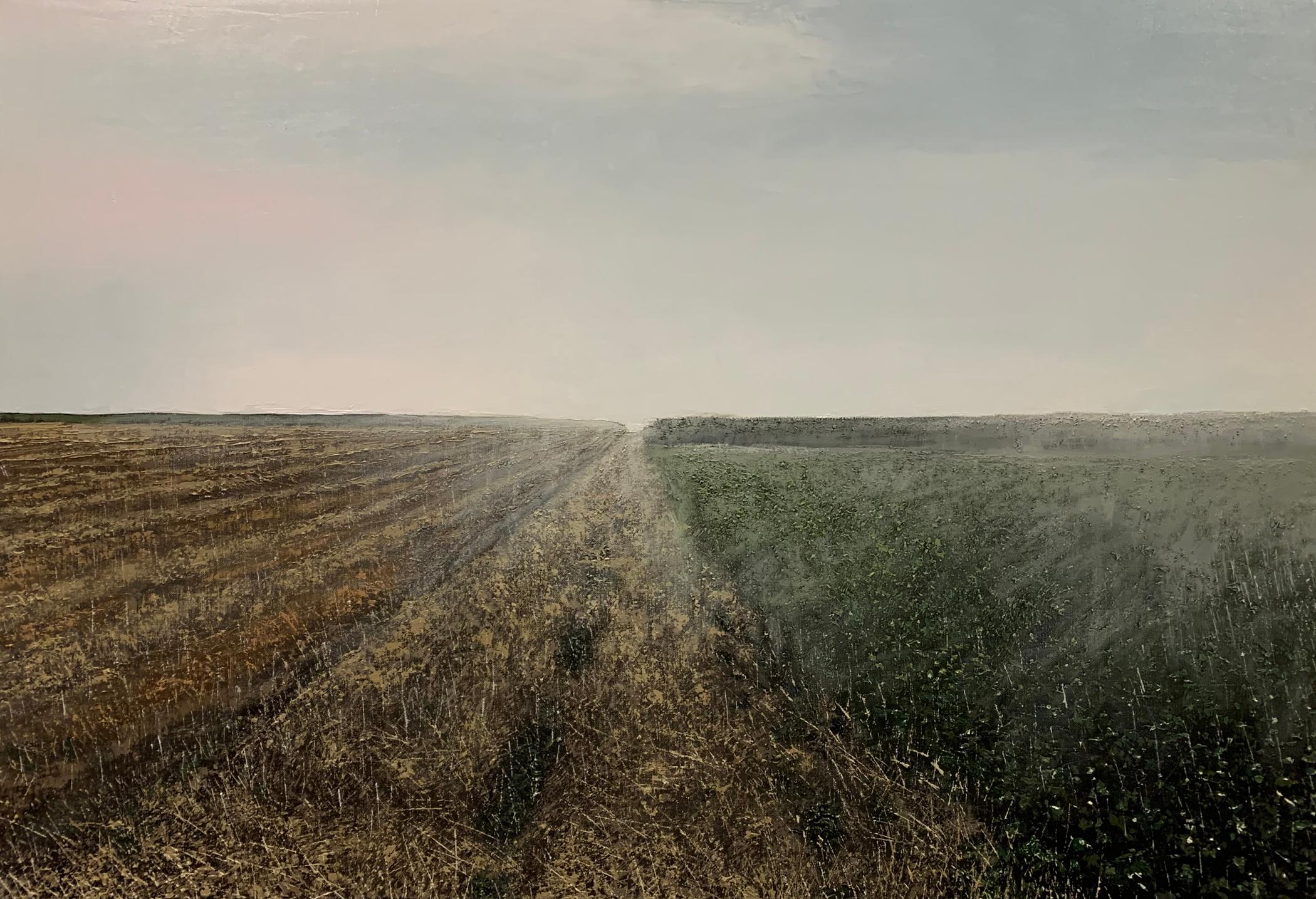 Benoît Trimborn Landscape Painting – chemin sous la pluie