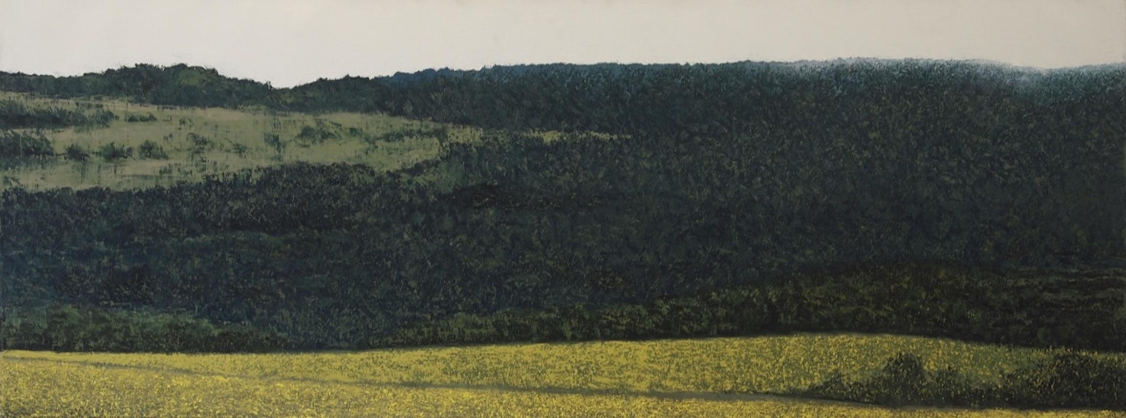 Benoît Trimborn Landscape Painting - Colline