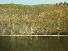 etang au printemps