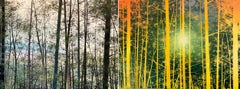 Foret diptyque