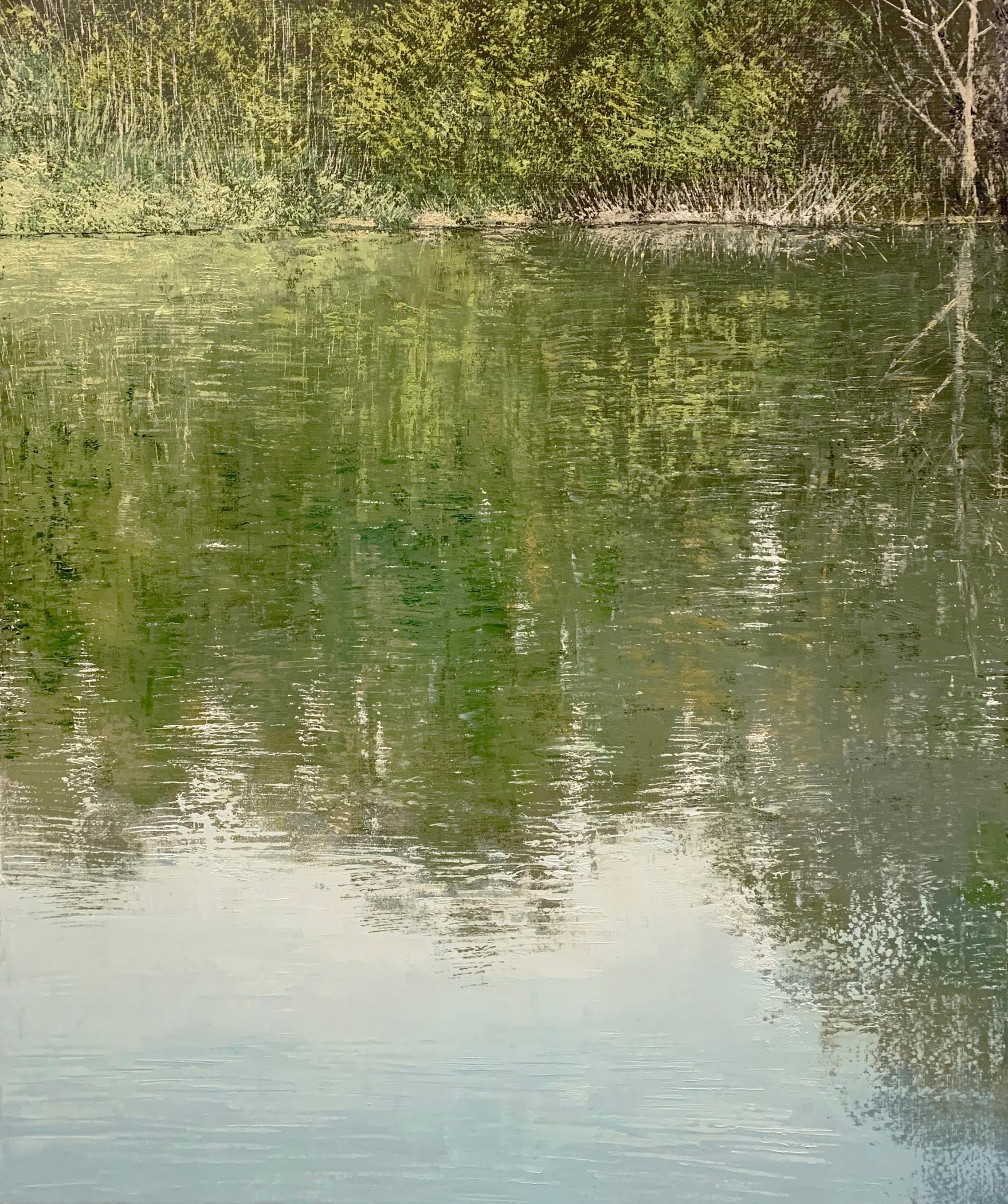 Benoît Trimborn Landscape Painting - la carpe a saute