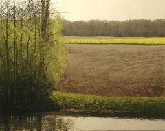 le ruisseau et le printemps