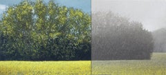 il sole e la pioggia