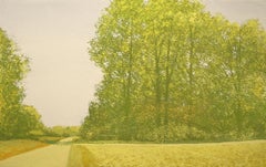 paysage dans le jaune